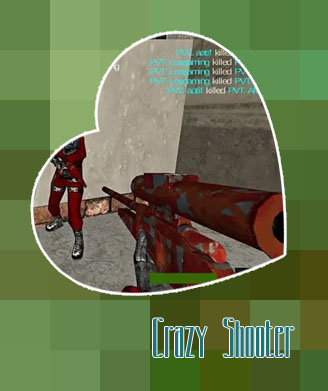 Crazy shooter games